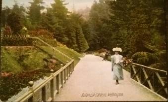 62049415_10156152585987751_7117959801132285952_o