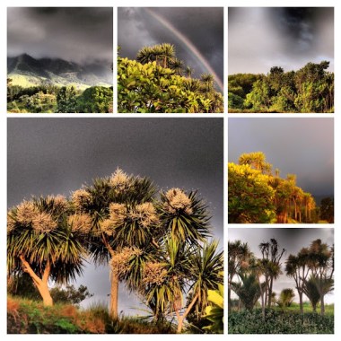 Clouds over wetlands at Te maimai
