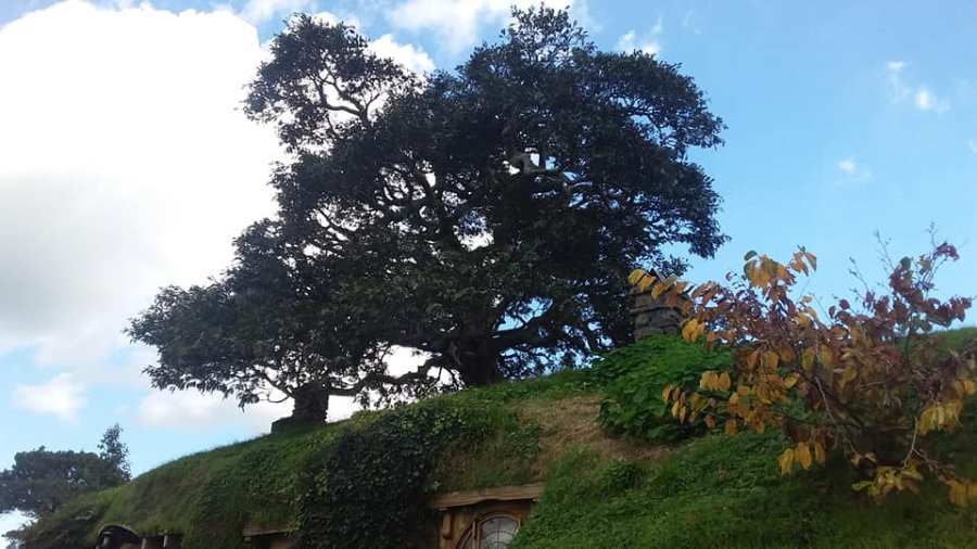 Hobbiton fake tree