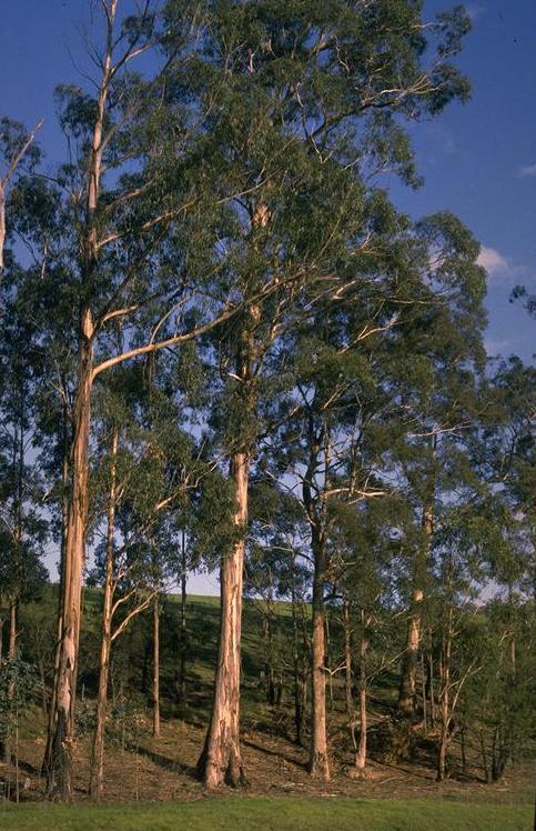image002