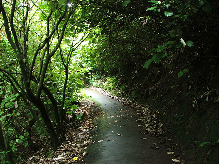 image003