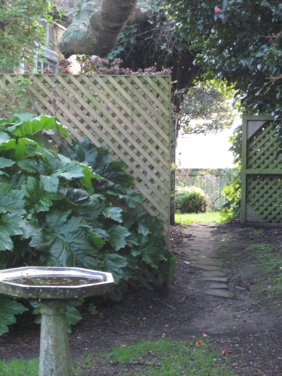 Garden 003