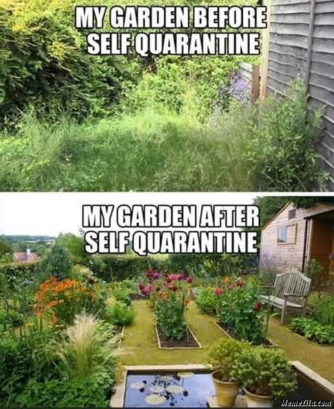 Garden meme